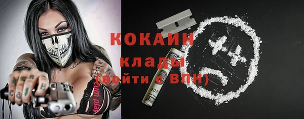 ГАЛЛЮЦИНОГЕННЫЕ ГРИБЫ Верея