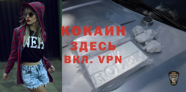 ГАЛЛЮЦИНОГЕННЫЕ ГРИБЫ Верея