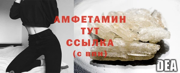 ГАЛЛЮЦИНОГЕННЫЕ ГРИБЫ Верея