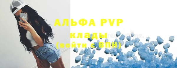 ГАЛЛЮЦИНОГЕННЫЕ ГРИБЫ Верея