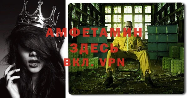 ГАЛЛЮЦИНОГЕННЫЕ ГРИБЫ Верея