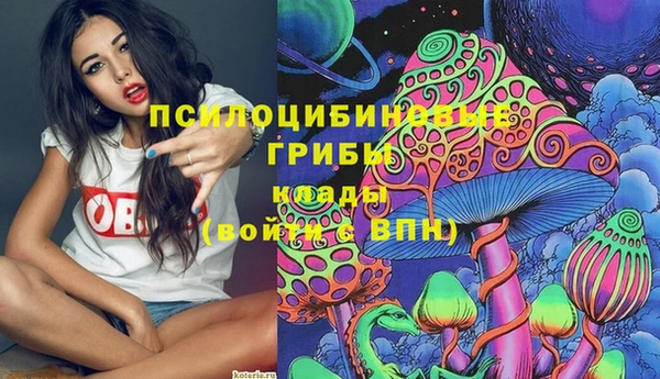 не бодяженный Верхний Тагил