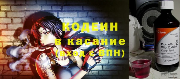 ГАЛЛЮЦИНОГЕННЫЕ ГРИБЫ Верея