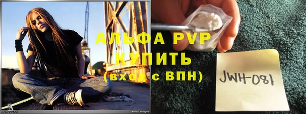 ГАЛЛЮЦИНОГЕННЫЕ ГРИБЫ Верея